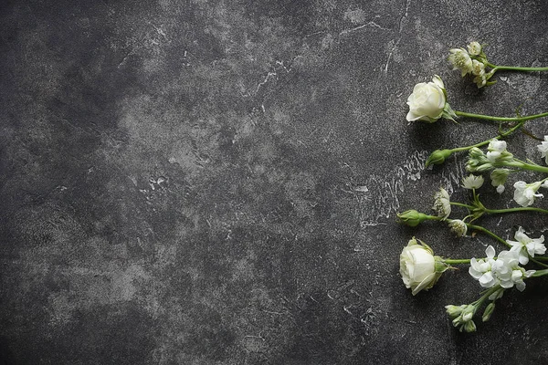 güzel beyaz çiçekler