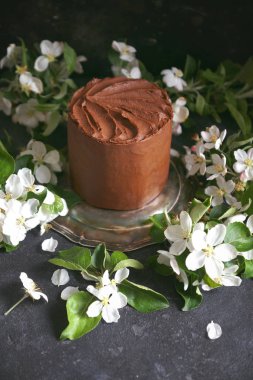 Karanlık bir arka plan, seçici odak elma ağaçları çiçekleri ile çikolatalı kek