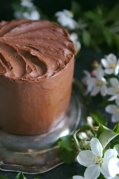 Шоколадный торт с яблонями цветы на темном фоне, Селективный фокус, Крупный план — стоковое фото