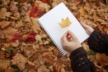 Sonbahar yaprakları ellerde Not Defteri'nde 