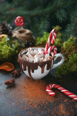 Noel karamelize portakal, çam dalları ve şeker kamışı koyu arka plan, seçici odak üstünde siyah bir fincan sıcak çikolata