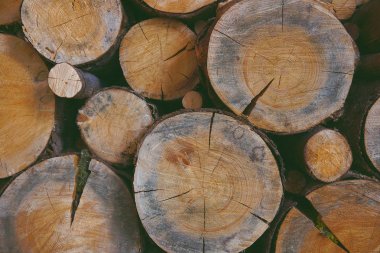 Kereste fabrikası, ahşap doku arka plan, günlükleri