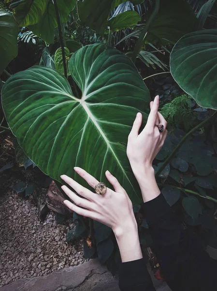 Manos femeninas con anillos hechos a mano sobre un fondo de hojas tropicales, Estilo blogger, Atmosférico, Enfoque selectivo —  Fotos de Stock