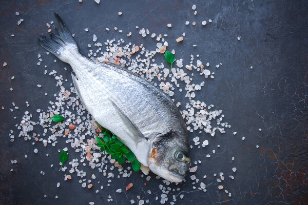 Dorado, Сырая рыба на заднем плане
