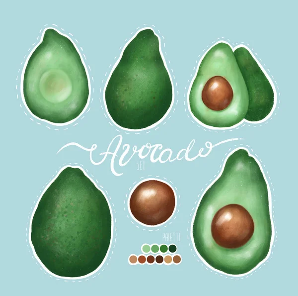 Avocado Set Створити Ескіз Растрова Ілюстрація — стокове фото