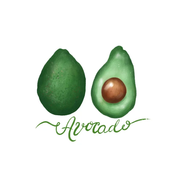 Avocado Set Створити Ескіз Растрова Ілюстрація Ізольовані Білі — стокове фото