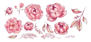 Pembe çiçek stili, şakayıklar, sakura, elma ağacı, gül, illüstrasyon üretimi, kartpostal, fotokopi alanı, izole edilmiş beyaz.