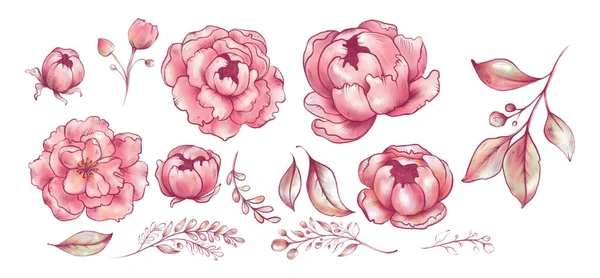 Estilización Flores Rosadas Peonías Sakura Manzano Rosa Ilustración Procrear Tarjeta — Foto de Stock