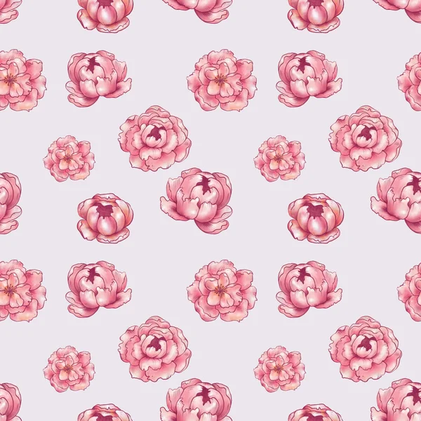 Бесшовный Узор Стилизация Розовых Цветов Пионы Сакура Яблоня Роза Иллюстрация — стоковое фото