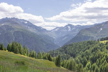 Dağların eteğinde küçük bir kasaba. Dağlar arasında bir vadide Avusturya köyü. Kırsal alan. Evlerin ahşap çatıları. Köyden Alpler 'in manzarası. Dağlarda bir ev.
