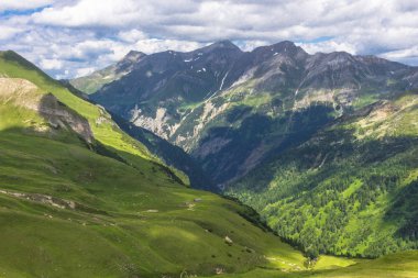 Avusturya Alpleri. Karlı dağ zirveleri. Grossglockner Dağı. Doğanın görkemi. Alp yolu. Dağ manzarası. Tepelerde yeşil çimenler. Kayaların arasındaki ormanlar. Avrupa 'da yürüyüş.