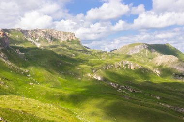 Avusturya Alpleri. Karlı dağ zirveleri. Grossglockner Dağı. Doğanın görkemi. Alp yolu. Dağ manzarası. Tepelerde yeşil çimenler. Kayaların arasındaki ormanlar. Avrupa 'da yürüyüş.