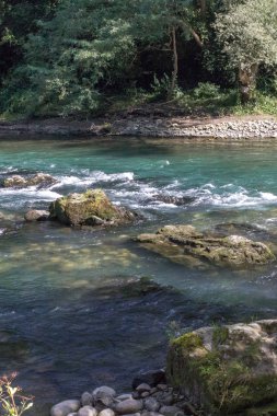 Ormandaki dağ nehri. Fransa 'da manzara. Yeşil turizm. Nehirdeki tuzaklar. Rafting için akıntı. Fransız usulü. Santiago 'lu Camino. Pilgrim 'in yolu. Camino Frances.
