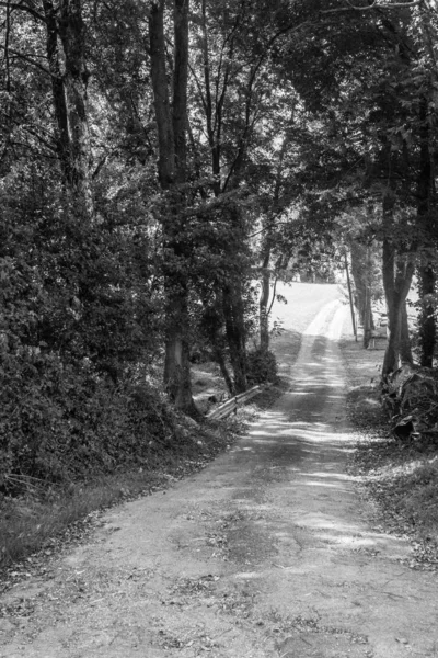 Road Goes Distance Winding Path Green Tourism Hiking Nature Camino — 스톡 사진