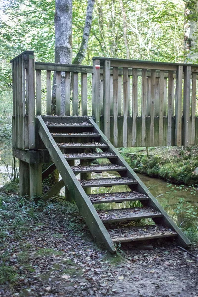 Wooden bridge in the forest. Steps to the bridge. Marking on the route of the Camino de Santiago. Forest air. Hiking in Europe. Travel in the wild nature. Pedestrian bridge.