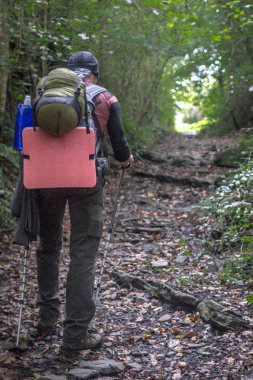 St. James 'in yolu. Santiago 'lu Camino. Seyyah yolda. Arkadan erkek görüşü. Ormanda bir yürüyüşçü. Seyahat çantası. Yeşil turizm. Avrupa 'da yürüyüş. Sırt çantalı hafif bir yolculuk..