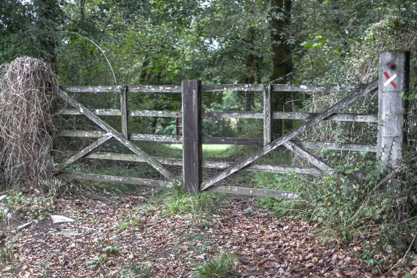 Closed Wooden Gate Route Forest Green Tourism Santiago Compostela Camino — Stock Photo, Image