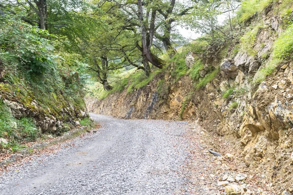 The road goes into the distance. Winding path. Green tourism. Hiking in the nature. Camino de Santiago. Walk among the fields and trees. Road up to the sky. Country road with traces of cars.