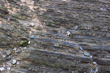 Deniz kıyısında. Rocky arazisi. Zumaya sahilinde bir sahil. İspanya 'nın doğası. Avrupa 'nın doğal zenginliği. Jeolojik fenomen. Kaya katmanları.