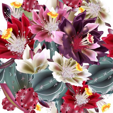 Vektör arka plan gerçekçi kaktüs çiçek suluboya St ile