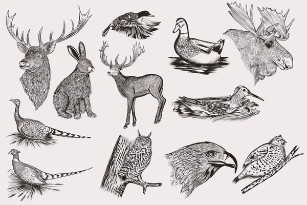 詳細な手描き動物のセット — ストックベクタ