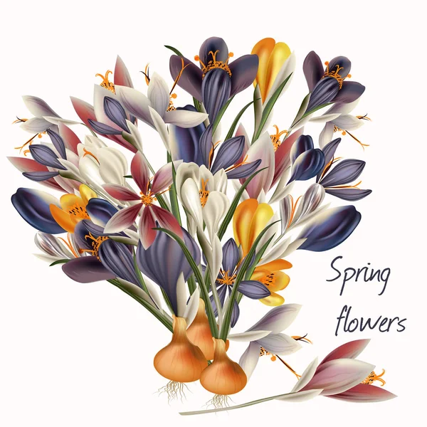 Fleurs de crocus aux couleurs pastel — Image vectorielle