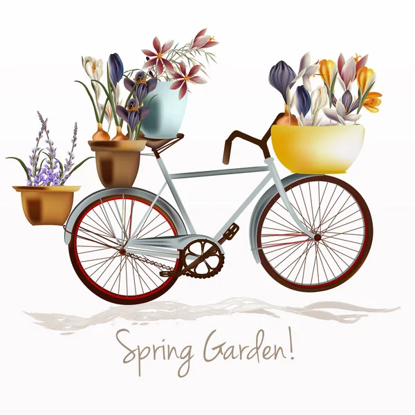 Блакитний велосипед і гончарі наповнені квітами крокусів. Весняний сад — стоковий вектор