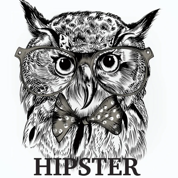 Moda hipster arka plan ile şık hayvan baykuş Gözlükte bir