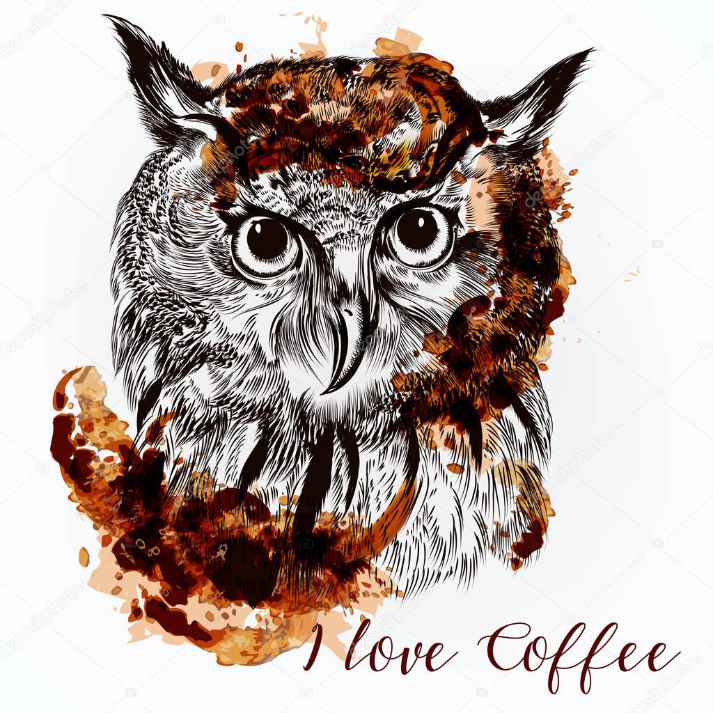 Hand drawn vector owl. Coffee illustration with a bird