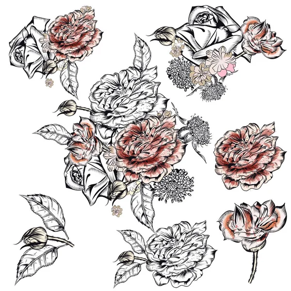 Colección de vectores de rosas dibujadas a mano para el diseño — Vector de stock