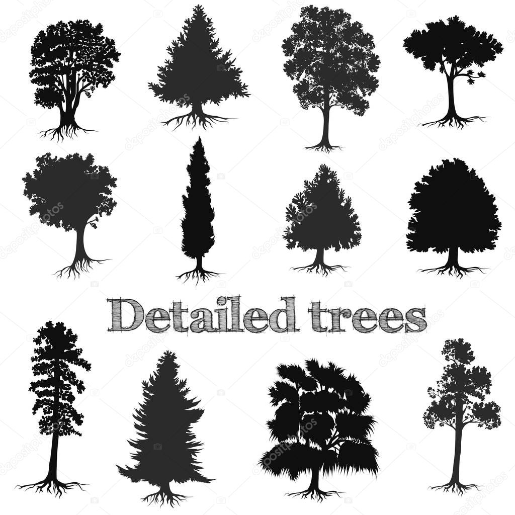 Collection of vector detailed hand drawn trees silhouettes for d