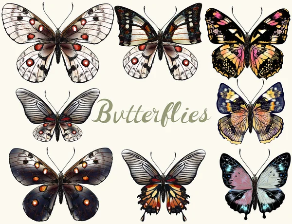 Colección de vectores realistas mariposas de colores para el diseño — Archivo Imágenes Vectoriales