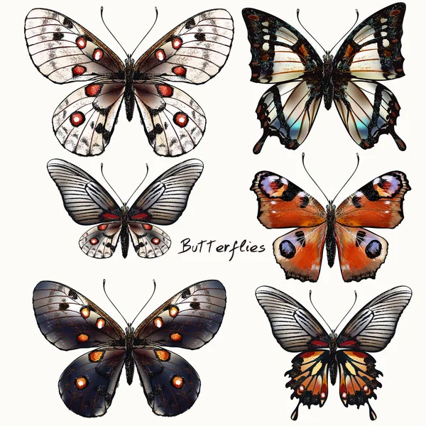 Collezione di farfalle vettoriali vintage realistiche in st vintage — Vettoriale Stock