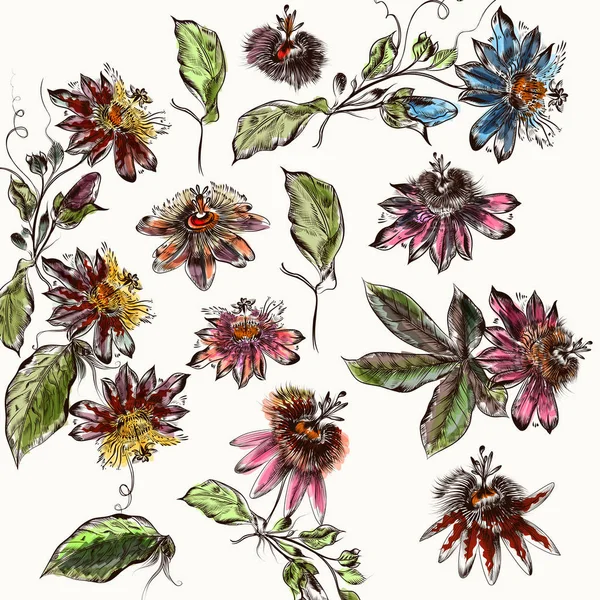 Gran colección de flores de estilo retro. Ilustración botánica de — Vector de stock