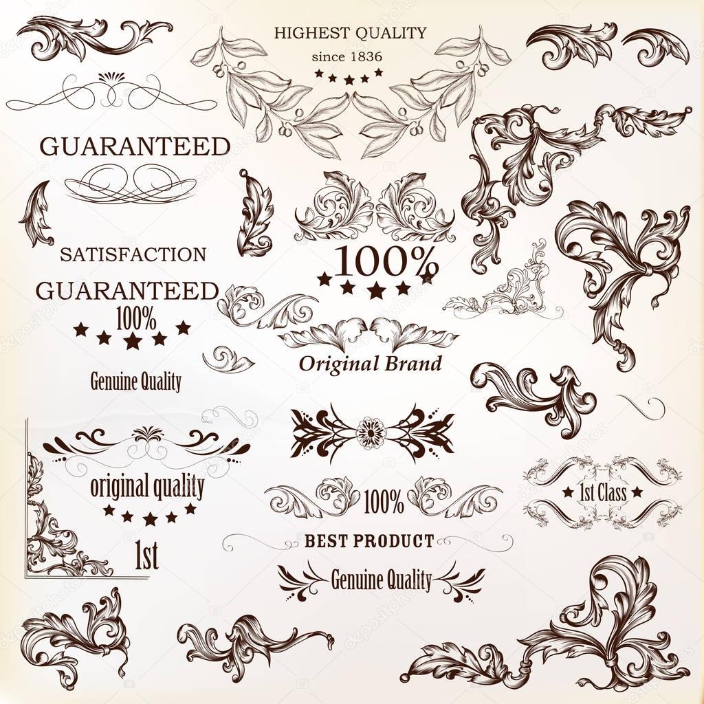 Calligraphic vector vintage design elements , decorations and sw