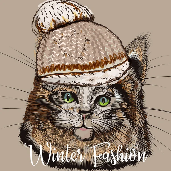 Εικονογράφηση μόδας με το πορτρέτο του χαριτωμένο γάτα στο καπέλο χειμώνα — Διανυσματικό Αρχείο