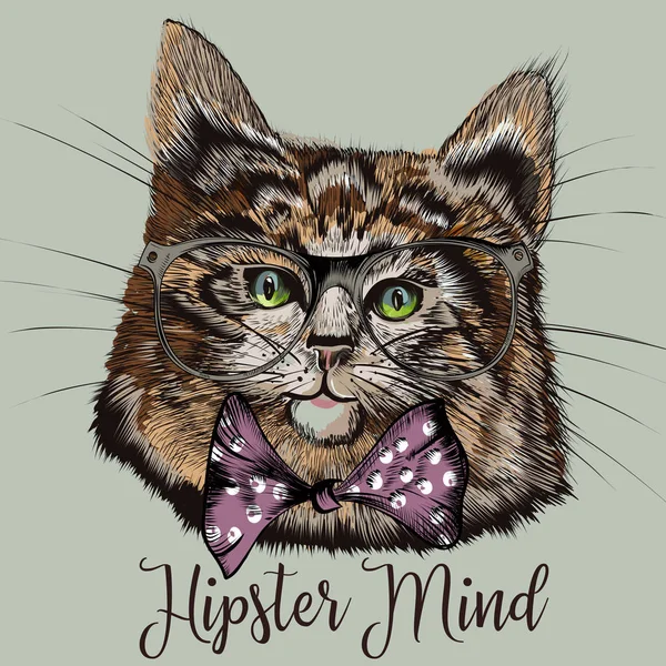 Mode illustratie met het portret van schattige hipster kat in glasplaten — Stockvector