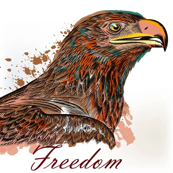Illustration d'oiseau dessinée à la main à l'aigle en st gravé et aquarelle — Image vectorielle