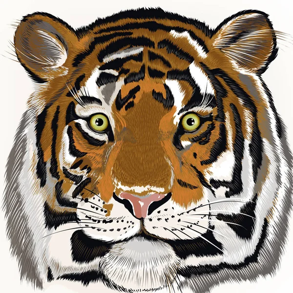 Illustration mit handgezeichnetem Tiger — Stockvektor