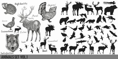 Büyük süper toplama veya vektör elle çizilmiş için ayrıntılı kümesi