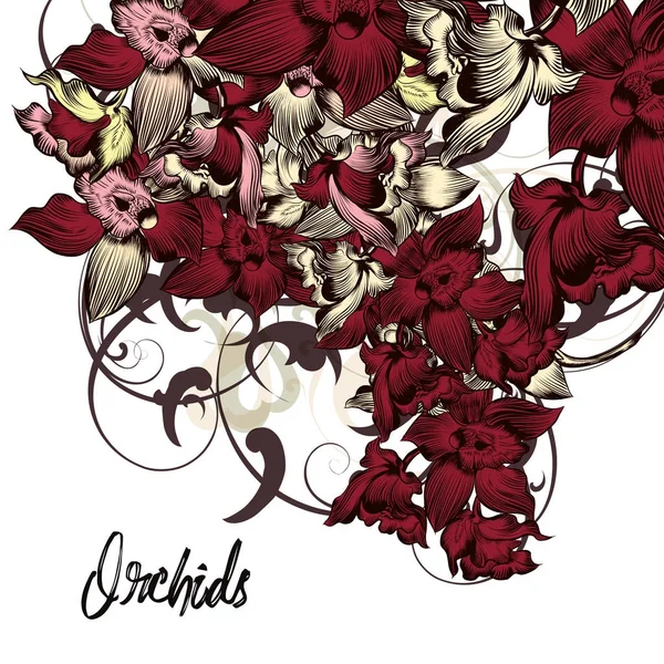 Όμορφη floral φόντο με ορχιδέες — Διανυσματικό Αρχείο