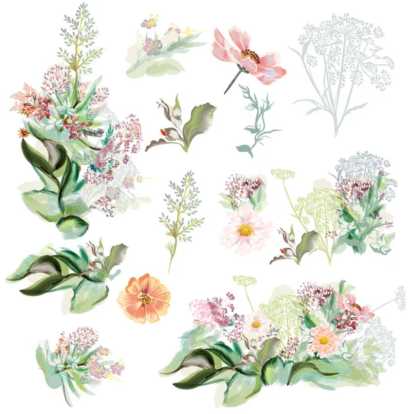 Colección de flores dibujadas a mano en estilo acuarela — Vector de stock