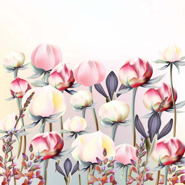 Schöne Illustration Mit Rosa Und Weißen Pfingstrosenblüten — Stockvektor