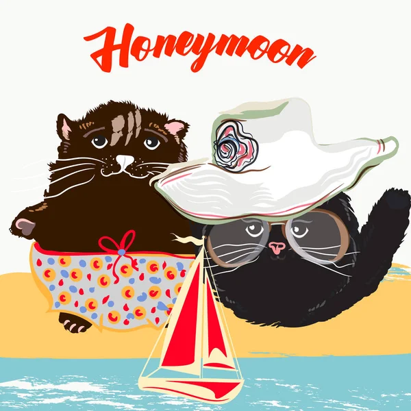 Bonito pôster de verão ilustração com lindo casal de gatos em vacati — Vetor de Stock