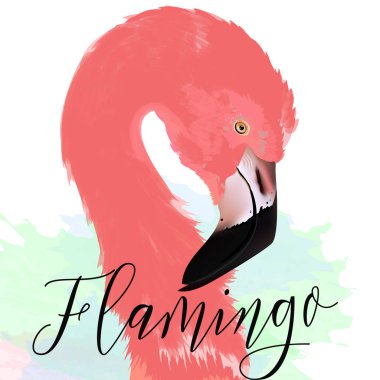 Güzel vektör çizim ile çizilen pembe flamingo