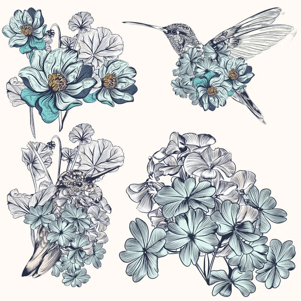 Conjunto de beija-flores desenhados à mão vetorial para projeto — Vetor de Stock