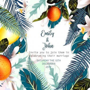 Güzel vektör çizim ile palmiye yaprakları, portakal, limon, 