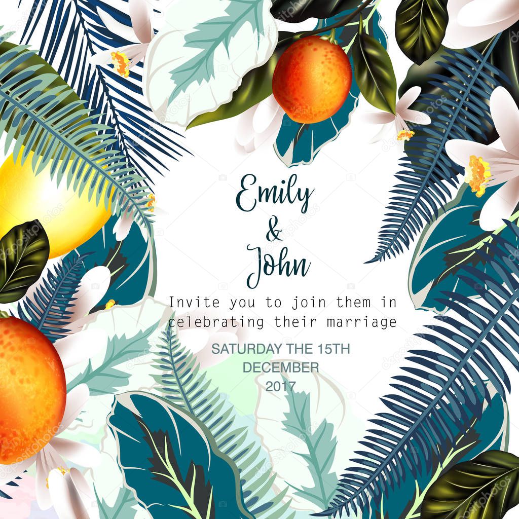 Beautiful vector illustration with palm leafs, oranges, lemons, 