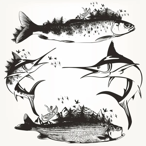 Toplama tasarım için vektör balıklar — Stok Vektör