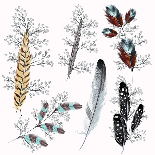 Collection of boho feathers for design — Stock Vector